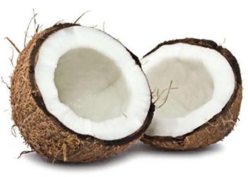 Caribbean Toasted Coconut Vape Juice